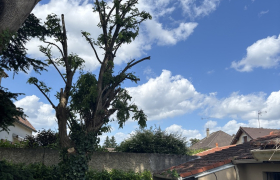Elagueur Ermont