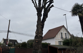 Élagage Franconville 95130