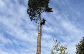 Jardinier Ermont Val-d'Oise