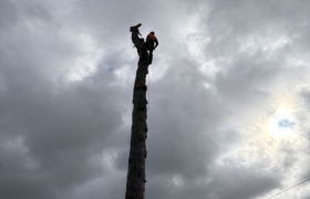 Elagueur Taverny 95150 