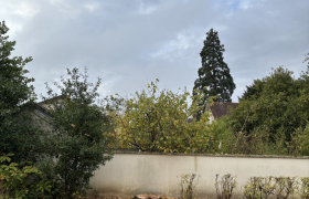 Elagueur Saint-Leu-la-Forêt