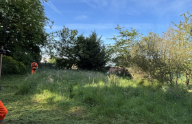 Débroussaillage d’une surface de 400 m² sur la commune de Saint-Prix 95390 