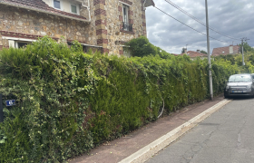 Taille de haie Eaubonne
