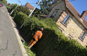 Taille de haie Eaubonne