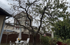 Elagueur Soisy-sous-Montmorency